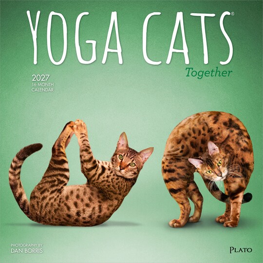 Plato; Yoga Cats Together OFFICIAL | 2027 12 x 24 Inch (Hanging) Monthly Square Wall Calendar; Category:Wall Calendars; Image:1